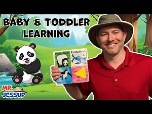 Panda Bear Read-Along Adventure! | What Do You See? Storytime with Mr. Jessup for Kids
