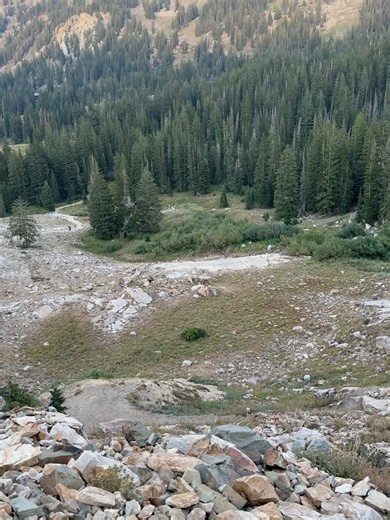 Cadre Ashley on Reels