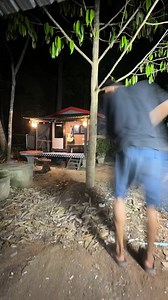 ร้อนจนใบทุเรียนร่วงทั้งต้น — วิธีดูแลต้นทุเรียนในหน้าร้อน