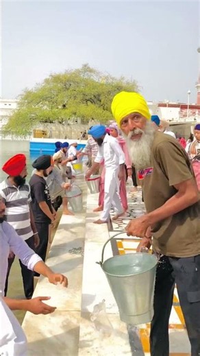 Sewa daily sri darbar sahib ji 24/5/2026 #sridarbarsahib #goldentemple #sewa #waheguruji