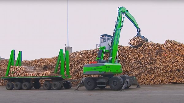 Risky Speed and Chainsaw Fails from Tree Cutting Extremes