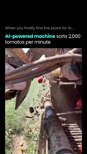 AI Tools & News | Business | Technology on Instagram: "Most people think machines like this use simple color sensors, but modern tomato sorters rely on advanced AI computer vision to analyze every item in real-time. High speed cameras scan everything falling off the upper belt. In a few milliseconds, deep learning models like CNNs and YOLO evaluate color, size, shape, and defects. The AI can detect ripeness, cracks, bruises, mold, and irregular shapes that old rule based systems could never iden
