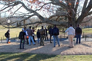 Campus trees help train the next generation of arboriculturists
