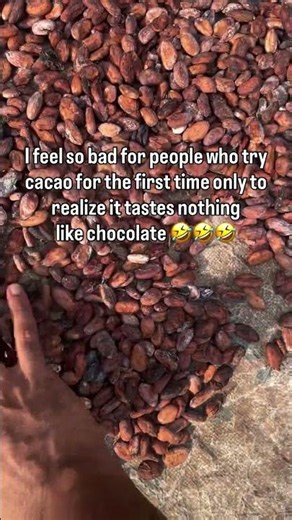 Cacao doesn't taste like chocolate... because chocolate is cacao's glow-up.