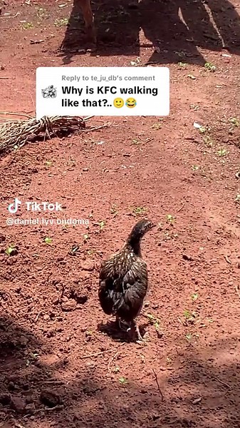 Master the Imbe Move Challenge Like a Pro