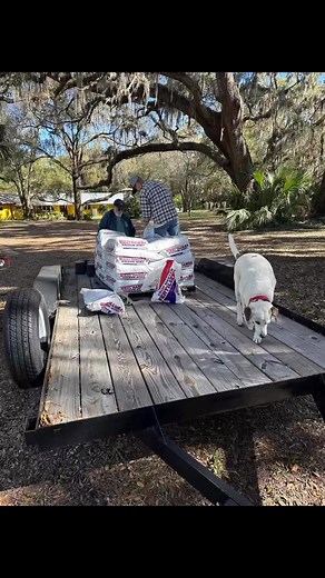Fertilizing 350 Pecan trees | The Chronicles of Charlie