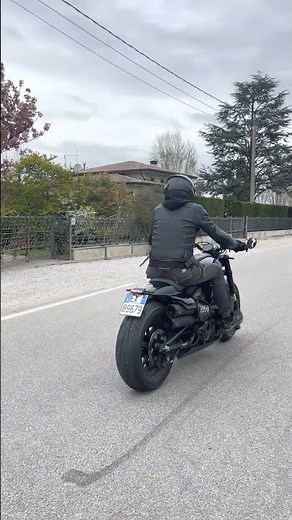 MCJ ADJUSTABLE EXHAUST FOR RH1250S SPORTSTER S