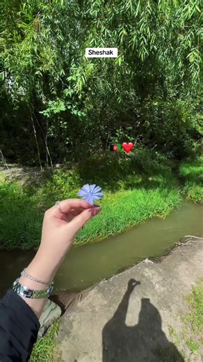 Exploring the Beauty of Afghanistan 🇦🇫
