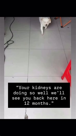 “Our goal: get your kidney function to it’s best—and keep it there. Nothing makes us happier than seeing you thriving and stable!” #kidneyhealth #nephrology #nextlevelkidneymedicine ⭐️ | The Kidney & Hypertension Group