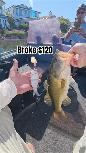 Big Bass Hits Swimbait at the Boat!