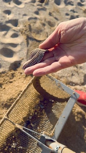 Cleaning a Beach Turned Into a Treasure Hunt — Gold Jewelry Found 💍🔥