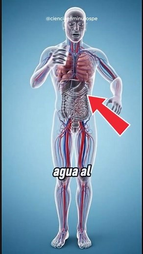 ¿Qué le pasa a tu CUERPO si no tomas AGUA?