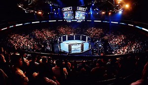 UFC 2025: The Most Anticipated Fights and Title Defenses to Watch