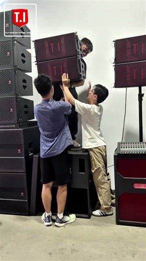 Pro110 Single 10 inch Line Array System