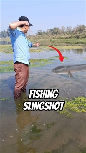 slingshot fishing tips and techniques #fishing #shortsfeed #slingshot