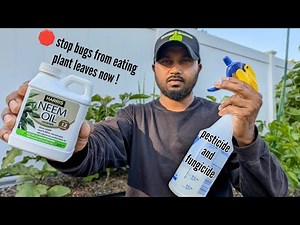 How to Mix Neem Oil for Plants #gardening