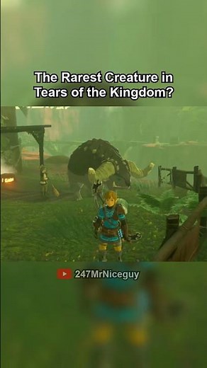 Who Remembers This About Zelda TotK?