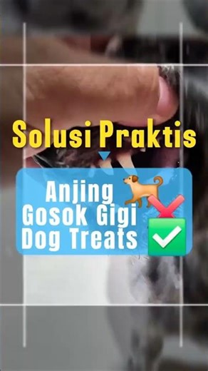 🐶 Dog Nutrional Dental Treats – Snack Favorit Anjing untuk Gigi Sehat & Nafas Segar