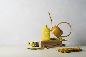 The Most Effective Natural Bug Repellants to Protect Your Home