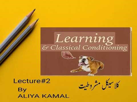 What is Classical Conditioning? (Pavlov's Theory Explained)