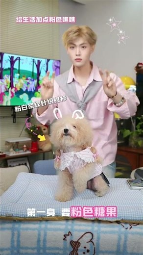 春季萌犬时尚对决！哪个更潮