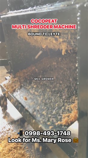 Multi Shredder Cocopeat machine shipped to Leyte. For inquiries 📲 0998-493-1748 Maraming salamat kasaka 🤗 #mccgrower #accmetalcraft #handtractorforsale #AgriMachinery #decorticator #cocopeat #cocopeatmachine | Hand Tractor for Sale - ACC Metal Craft