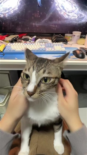 hello scratch scratch scratching #scratchingasmr | ASMR