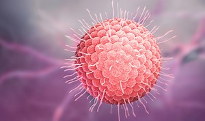 Bệnh viêm da do virus Herpes Simplex 1 ( HSV1)
