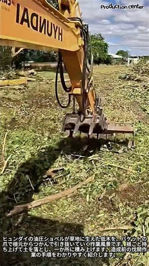 ヒュンダイの油圧ショベルで低木を根ごと引き抜く伐開作業 #worker #process #excavator #landclearing #hyundai