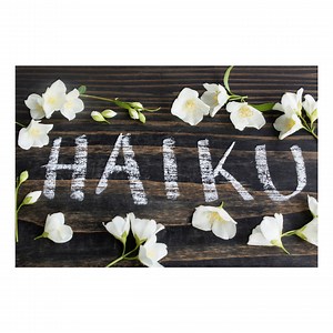 Are Haikus Always 5, 7, 5? Format, Rules, Examples at ZayZoh