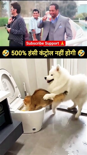 🤣 500% Hasi Control Nahi Hogi 🤣 #shorts #trending #funny #comedy