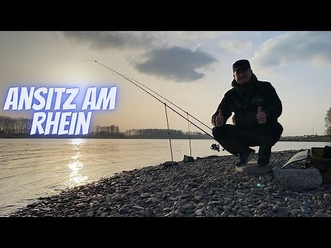 #Feedern am #Rhein 2021 / Klappt es mit der Barbe?