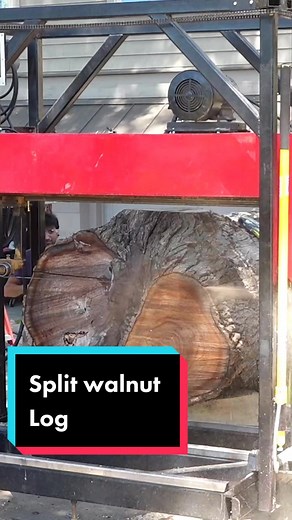 Slabbing this split walnut crotch log with @versatilewoodwork #sawmill #woodworking #liveedgetable #learnontiktok #tiktokpartner