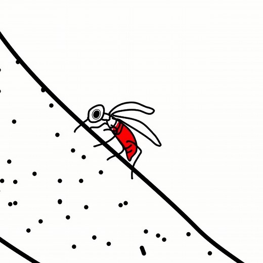 Funny Greedy Man Drinking Water Meme | Cartoon Comedy Animation