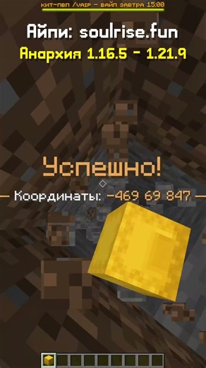 Спрятал ШАЛКЕР с топовым КИТОМ | Айпи: soulrise.fun #soulrise #funtime #realyworld #holyworld