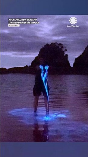 Why Is This Beach Glowing Blue at Night?