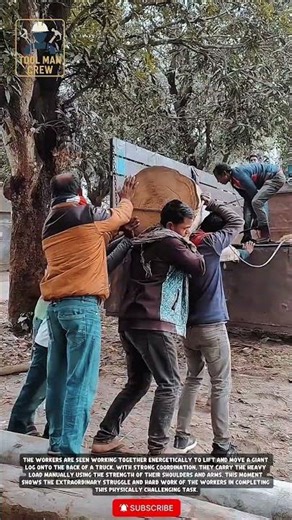 Manual Labor: Moving a Giant Log onto a Truck by Hand