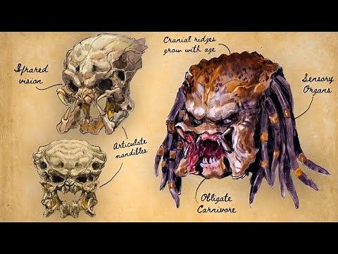 The Disturbing Biology of THE PREDATOR | Yautja Science Explained
