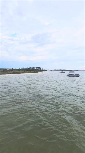 Shell island but a different view today! If you rent a boat and need a captain call us!!!!! 📞 850-319-2054 We will gladly help make your trip more memorable, this really makes sense when you have more than 6 people in your group. #pcb #lovepc #followersreelsfypシ゚viralシfypシ゚viralシalシ #panamaCityToDo #VacationToDo #seaShells #thingsToDo #SunsetDolphin #sunset #upClose #JumpingDolphins #outdooradventures #fishies #sea #captian #natureLove #nature #gulfofamerica #StAndrews #panamaCityBeach #PanamaC