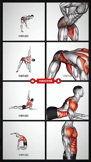 Dynamic Morning Stretches to Wake Up Muscles #mobilitytraining #flexibility #fitness #shorts