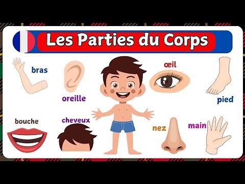 Les Parties Du corps | French Vocabulary | Apprendre Le Français | Body Parts | Vocabulaire Français