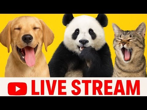 FunZoo Moments is live!