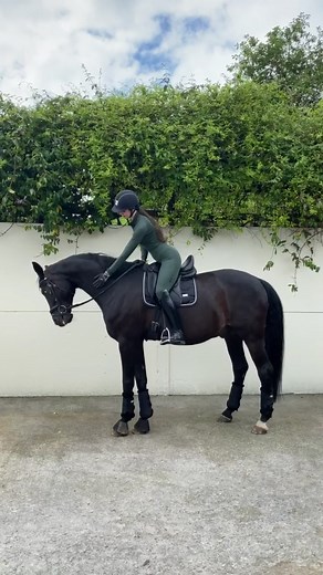 Erin Williams: A Passionate Horse Rider and Dressage Enthusiast