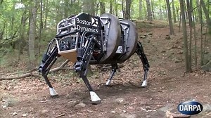 Usa, troppo rumoroso: Esercito abbandona il progetto del 'mulo robot'