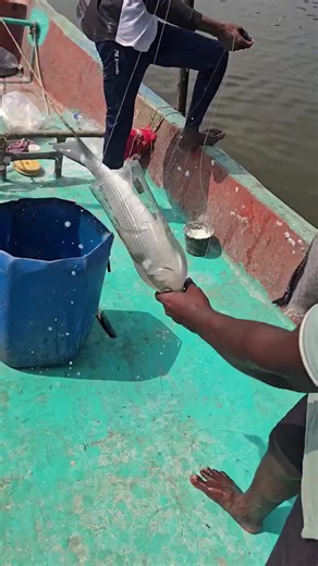 Unbelievable Bottle Trap Mullet Fishing Technique