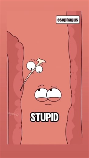 healthmanager11 | What happens when a fishbone gets stuck in your throat #animation #funny #shorts #webtoon #trendingreels | Instagram