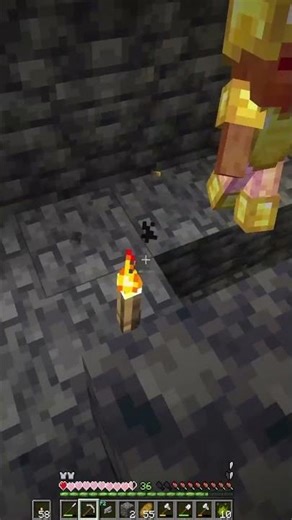 The Last Thing Philza Sees Before Perishing