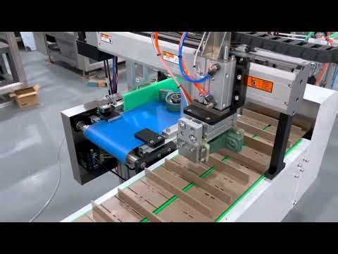 Automatic cartoning machine for bearings