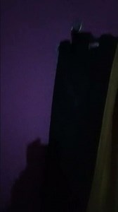 Chicken star Speak Java Or English