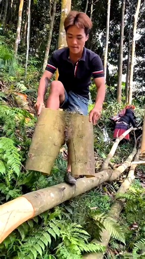 How Cinnamon is Made! 🌿 | दालचीनी कैसे बनती है? #shorts